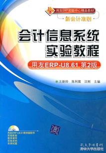 會計(jì)咨詢在孔網(wǎng)分類中的價(jià)值與展望